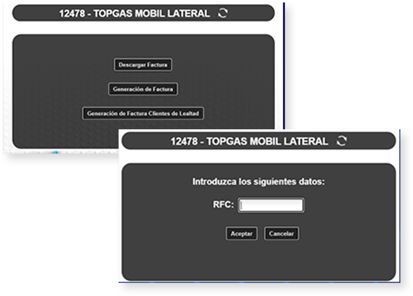 Paso 2 de facturación